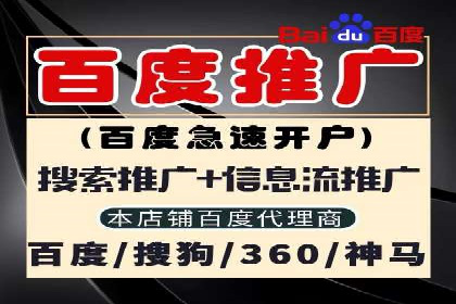 案例剖析：SEM竞价代运营助力品牌崛起